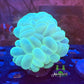 Neon Chrome Bubble Coral