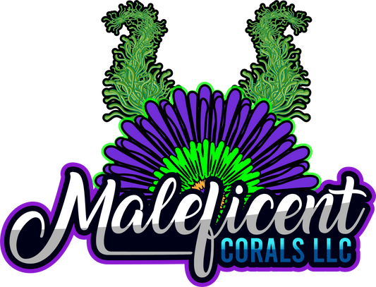Maleficent Coral Gift Cards